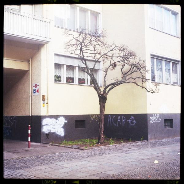berlin bilder - a piece of urban idyll